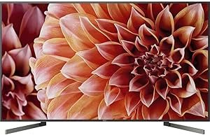 61NvKSgo9L._AC_SY300_SX300_ Sony XBR65X900F 4K Ultra HD Smart LED TV review with Alexa features