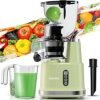 716DncTPmsL.__AC_SX300_SY300_QL70_ML2_ Review of Aeitto Cold Press Juicer Best for Fruits and Vegetables