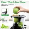 71NXc-SUF7L._AC_SL1500_ Review of Aeitto Cold Press Juicer Best for Fruits and Vegetables