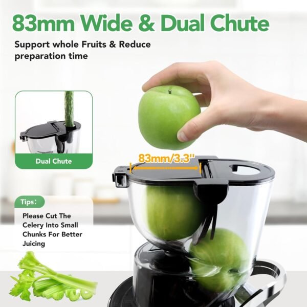 71NXc-SUF7L._AC_SL1500_ Review of Aeitto Cold Press Juicer Best for Fruits and Vegetables
