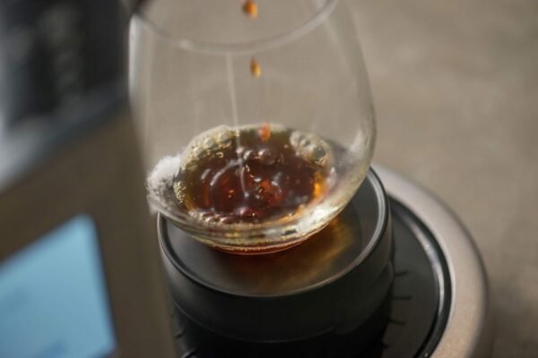 71Xopq-9J5L._AC_SL1500_ Breville Precision Brewer Drip Coffee Maker Review for Perfect Home Brewing Experience