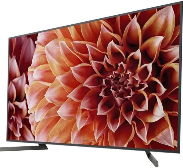 71qnrWMjDL._AC_SL1000_ Sony XBR65X900F 4K Ultra HD Smart LED TV review with Alexa features