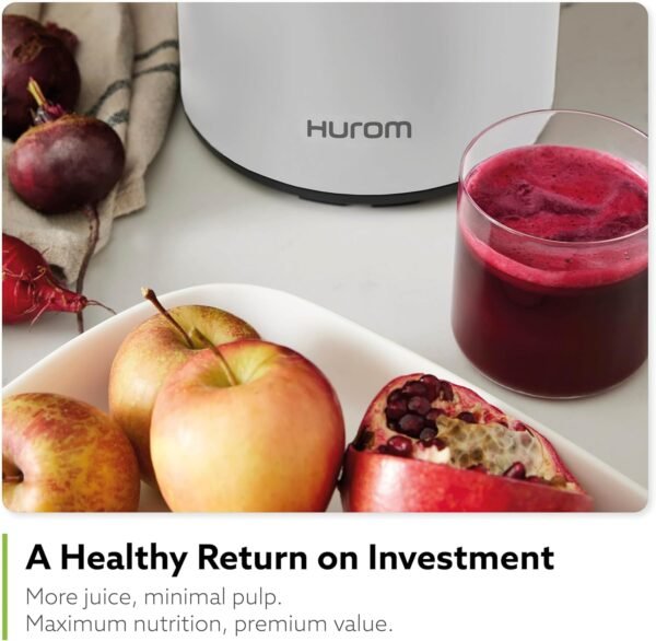 81a5b0q5n6L._AC_SL1500_ Hurom H400 Easy Clean Slow Juicer Review Quiet Motor and Scrub-Free Cleaning